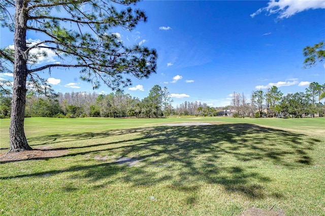 18126 Kara Ct, Tampa, FL 33647 - view of home's community featuring view of golf course, a yard, and view of scattered trees