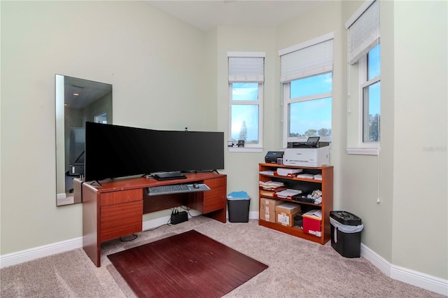 office featuring light colored carpet