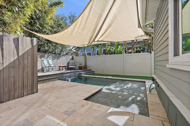 view of swimming pool with a patio area