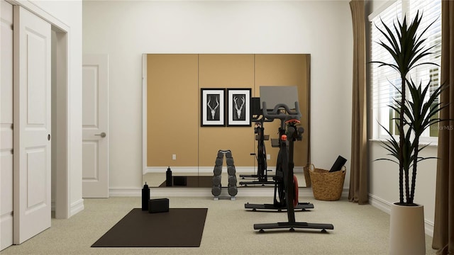 exercise area with light carpet