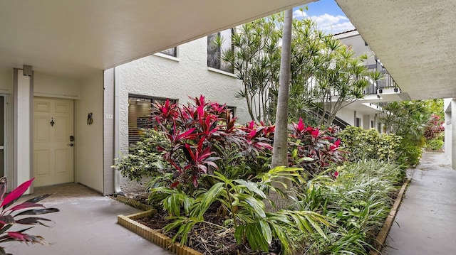 view of exterior entry with stucco siding