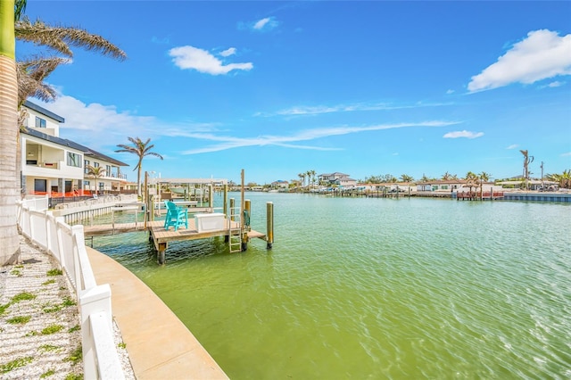 dock area with a water view