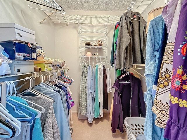 8174 Terrace Garden Dr N Unit 307, Saint Petersburg, FL 33709 - view of walk in closet