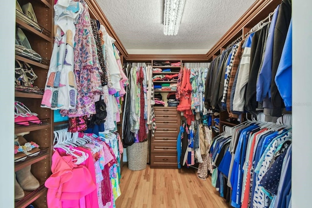 spacious closet with hardwood / wood-style floors