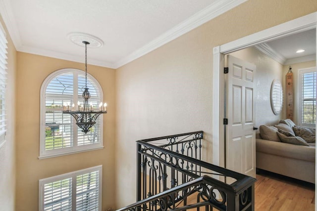 corridor featuring crown molding, a healthy amount of sunlight, hardwood / wood-style floors, and a chandelier