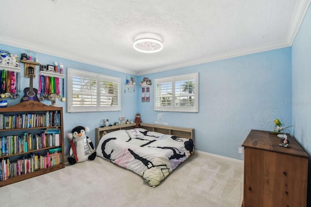 1336 51st Ave NE, Saint Petersburg, FL 33703 - photo 30