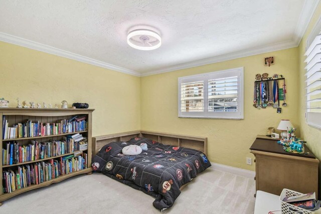 1336 51st Ave NE, Saint Petersburg, FL 33703 - photo 33