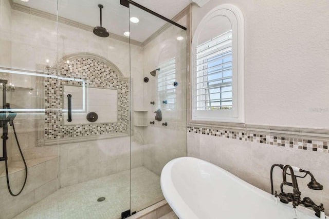 1336 51st Ave NE, Saint Petersburg, FL 33703 - photo 50