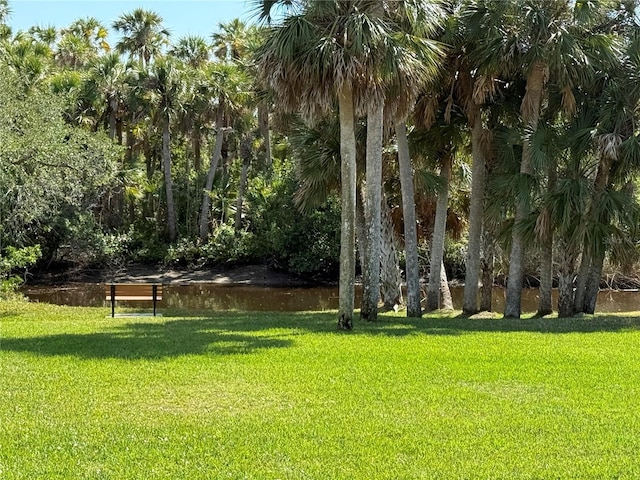 view of community featuring a water view and a yard