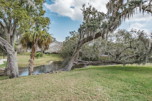 view of yard with a water view