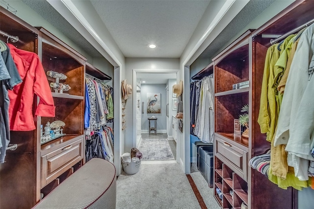 6 Belleview Blvd Unit 203, Belleair, FL 33756 - walk in closet with carpet floors