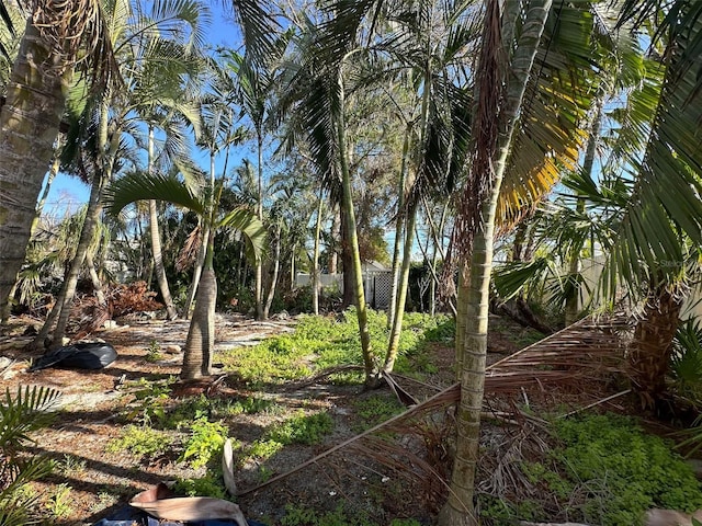 view of landscape