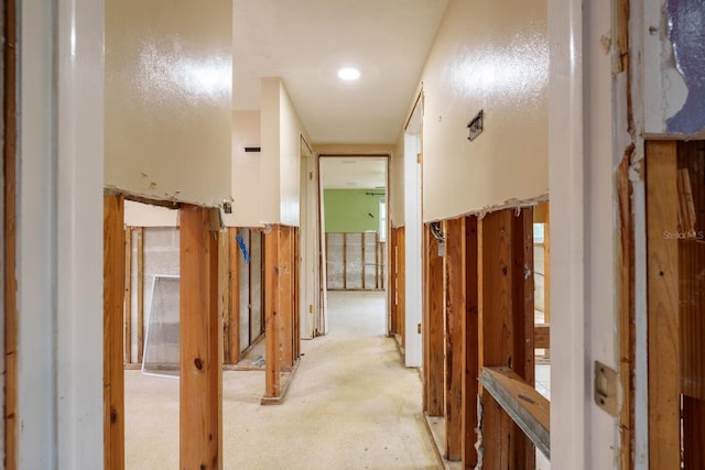 5033 Blue Heron Dr, New Port Richey, FL 34652 - view of corridor