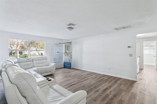 living room with hardwood / wood-style flooring