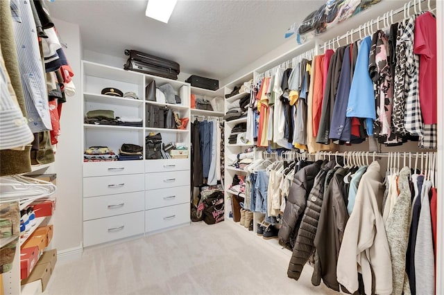 spacious closet featuring carpet floors