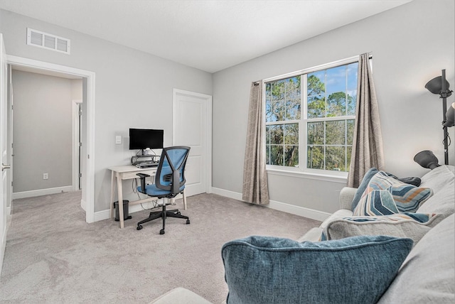 22990 Scaglione Dr, Lutz, FL 33549 - carpeted office with baseboards