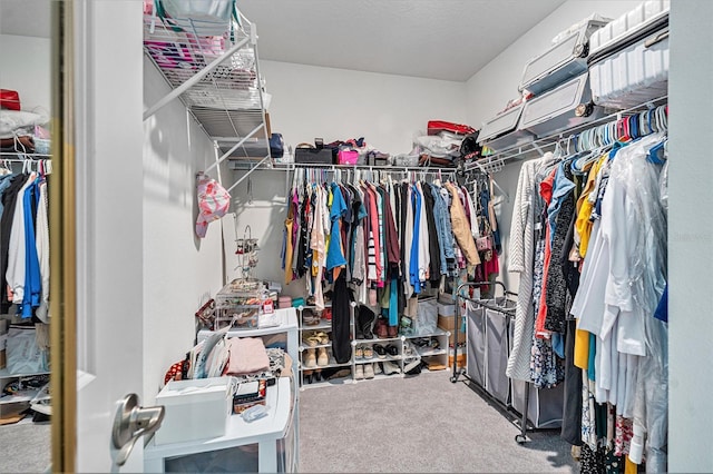 22990 Scaglione Dr, Lutz, FL 33549 - walk in closet featuring carpet