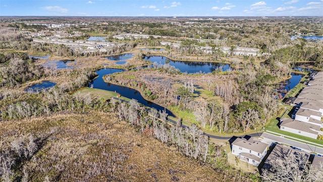 22990 Scaglione Dr, Lutz, FL 33549 - aerial view of a large body of water