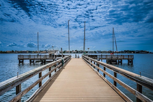 dock area with a water view