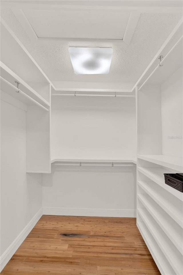 walk in closet featuring hardwood / wood-style flooring