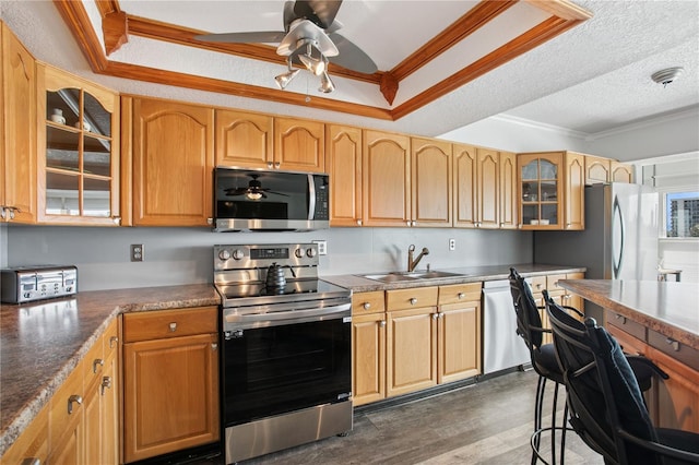 kitchen with appliances with stainless steel finishes, crown molding, a ceiling fan, a raised ceiling, and a sink