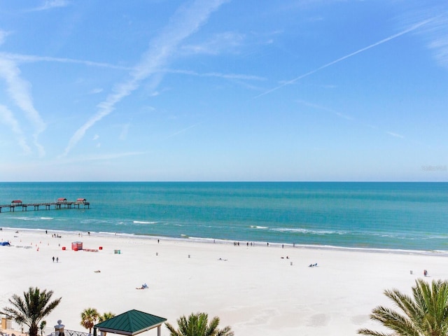 property view of water featuring a beach view