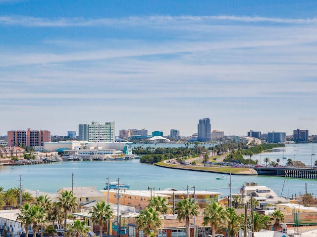 view of water feature with a city view