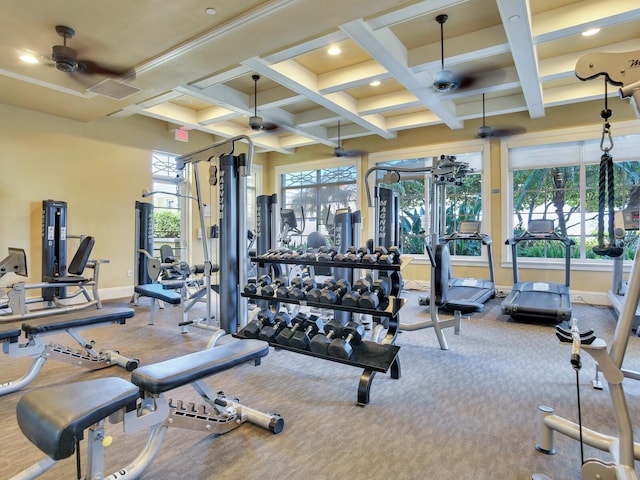 workout area featuring ceiling fan, coffered ceiling, and a wealth of natural light