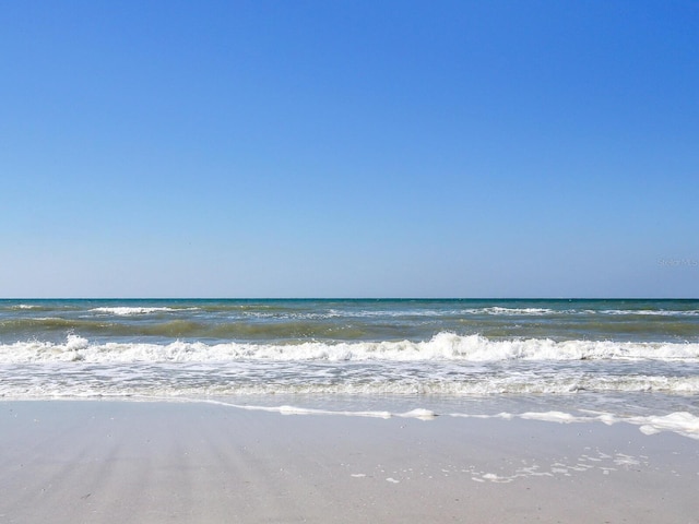 water view featuring a beach view