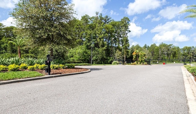 21807 Amelia Rose Way, Land O Lakes, FL 34637 - photo 66