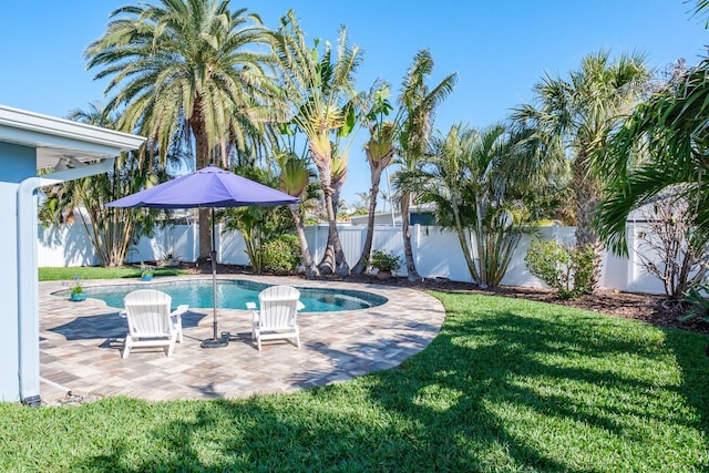 view of swimming pool with a patio area and a lawn