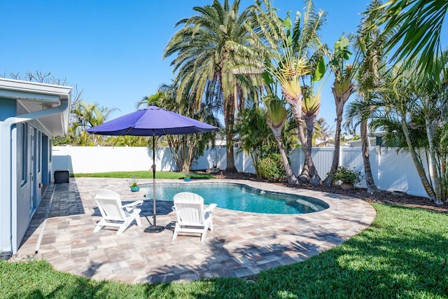 view of swimming pool with a patio area