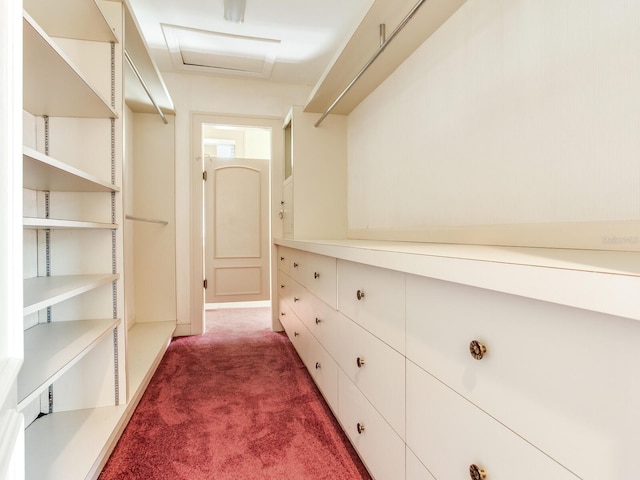 5020 S Shore Crest Cir, Tampa, FL 33609 - walk in closet with carpet flooring and attic access