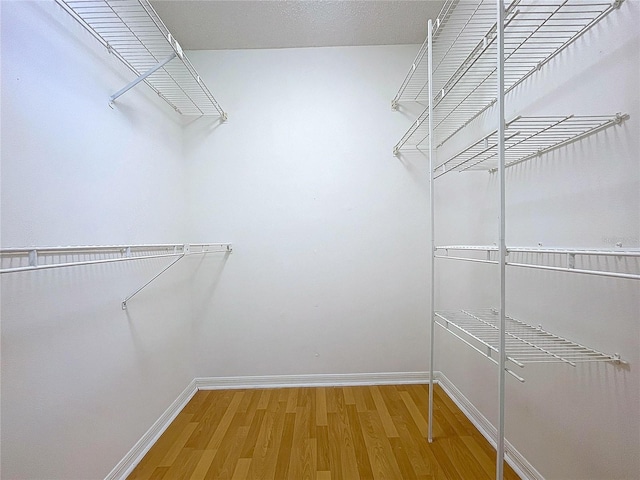 8600 Berkley Dr, Hudson, FL 34667 - walk in closet with hardwood / wood-style flooring