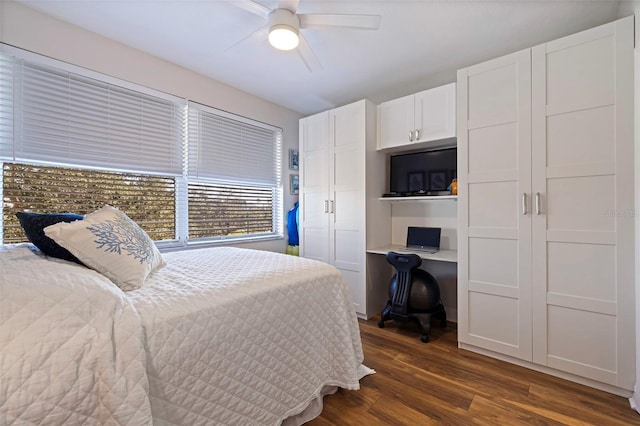 bedroom featuring dark wood-style flooring, ceiling fan, and built in desk