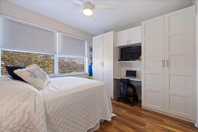7902 Sailboat Key Blvd S Unit 206, South Pasadena, FL 33707 - bedroom featuring dark wood-type flooring and ceiling fan