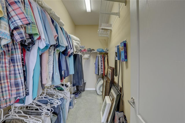 walk in closet with carpet floors