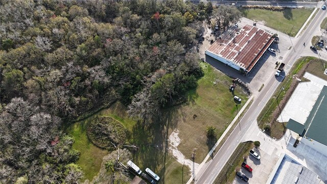 713 E Alsobrook St, Plant City, FL 33563 - photo 3