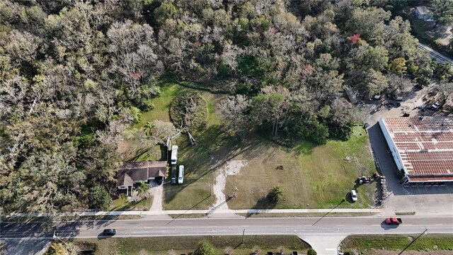 713 E Alsobrook St, Plant City, FL 33563 - photo 4