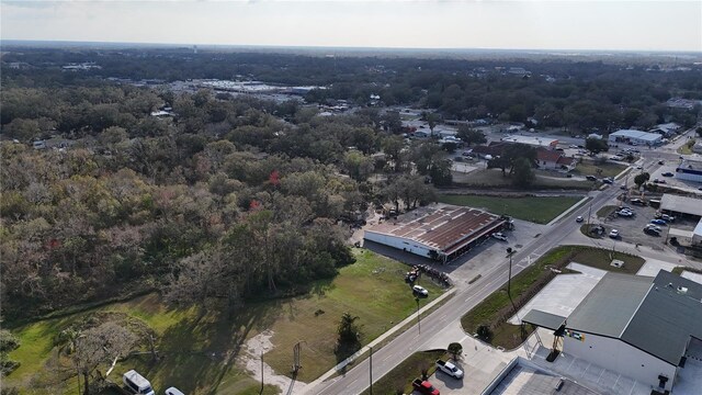713 E Alsobrook St, Plant City, FL 33563 - photo 8