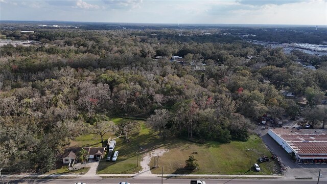 713 E Alsobrook St, Plant City, FL 33563 - photo 9