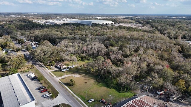 713 E Alsobrook St, Plant City, FL 33563 - photo 11