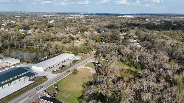 713 E Alsobrook St, Plant City, FL 33563 - photo 12