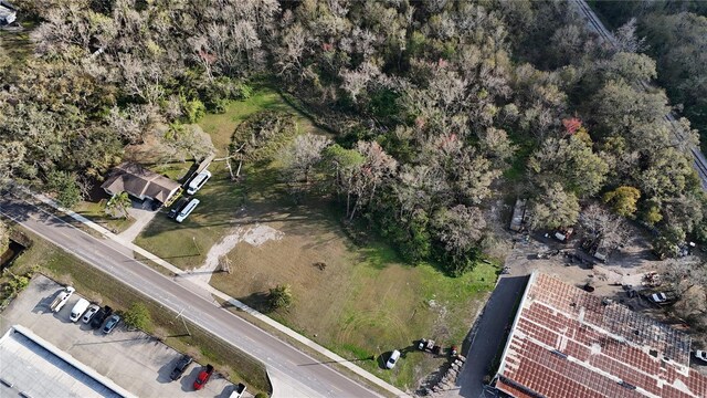 713 E Alsobrook St, Plant City, FL 33563 - photo 5