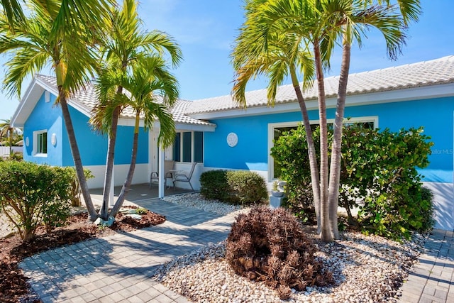 view of front of home featuring a patio area, a tile roof, and stucco siding