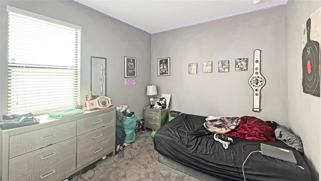 9362 Oglethorpe Dr, Groveland, FL 34736 - bedroom with carpet floors