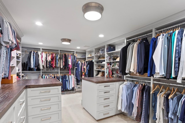 view of walk in closet