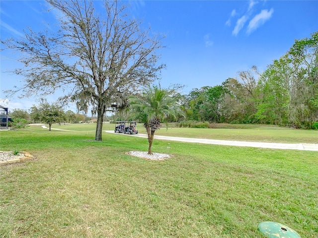25950 Risen Star Dr, Wesley Chapel, FL 33544 - view of yard