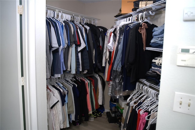 spacious closet with hardwood / wood-style floors