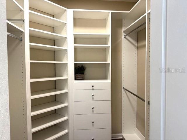 view of spacious closet